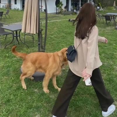 迷之血红