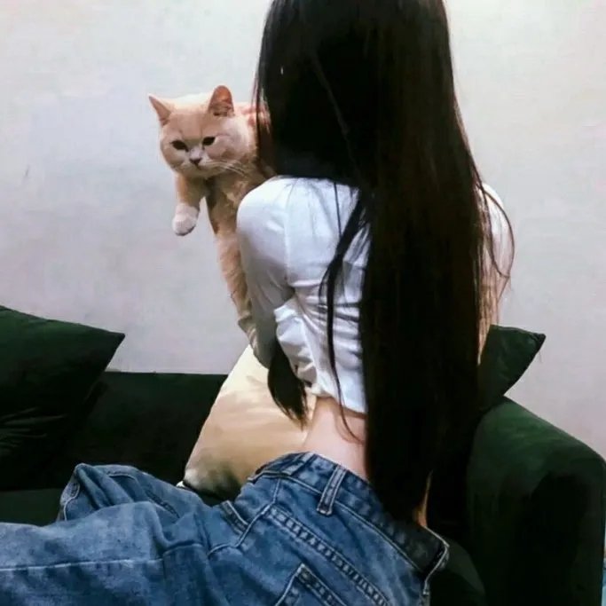 黄色小屋的记忆